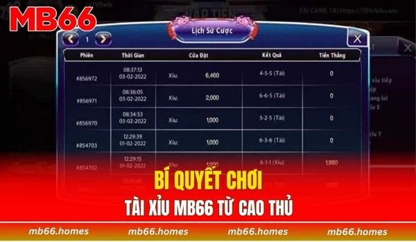 Bí quyết chơi tài xỉu MB66 từ cao thủ