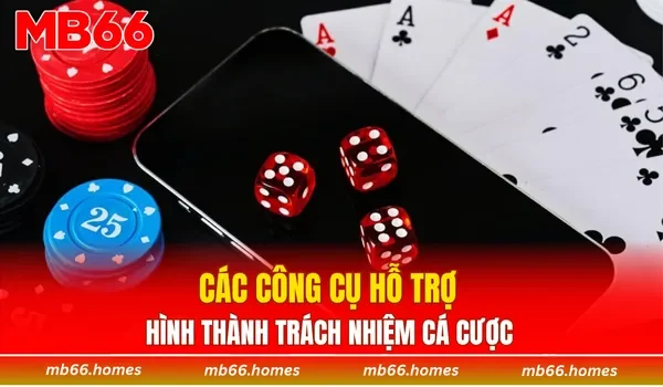 Các công cụ hỗ trợ hình thành trách nhiệm cá cược