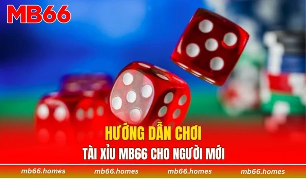 Hướng dẫn chơi tài xỉu MB66 cho người mới