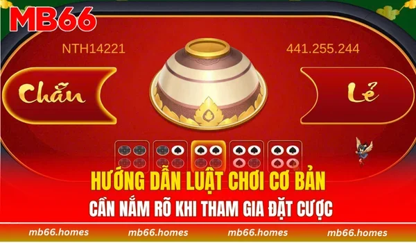 Hướng dẫn luật chơi cơ bản cần nắm rõ khi tham gia đặt cược