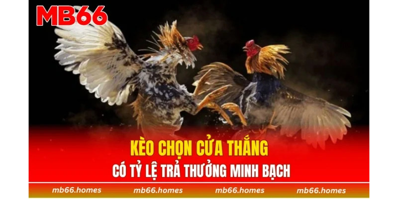 Kèo chọn cửa thắng có tỷ lệ trả thưởng minh bạch