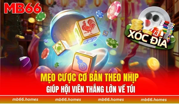 Mẹo cược cơ bản theo nhịp giúp hội viên thắng lớn về túi