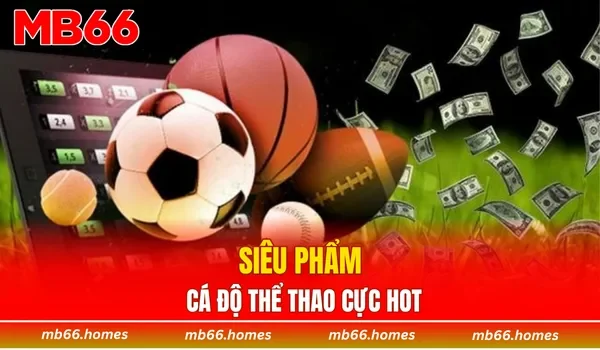 Siêu phẩm cá độ thể thao cực hot