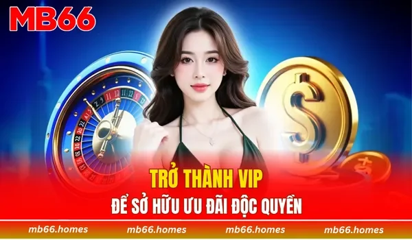 Trở thành VIP để sở hữu ưu đãi độc quyền