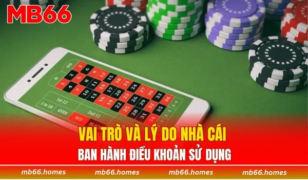 Vai trò và lý do nhà cái ban hành điều khoản sử dụng